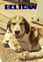 /album/fotogaleria/beltran-jpg/