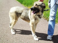 /album/fotogaleria/a1006167-468121583278886-1667901114-n-jpg/