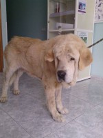 /album/fotogaleria/a10155268-766863380013685-2967078926892458237-n-jpg/