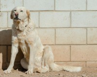 /album/fotogaleria/a379368-537753229580598-370304634-n-jpg/