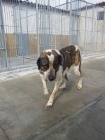 /album/fotogaleria/a1972348-741127072587316-934816218-n-jpg/