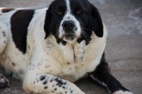 /album/fotogaleria/a1236654-652409994832826-5948427660014321565-n-jpg/