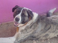 /album/fotogaleria/a1978788-660128634060391-25965773-n-jpg/