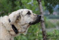 /album/fotogaleria/a10259830-729113927111193-1958723068580064284-n-jpg/