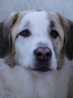 /album/fotogaleria/a10157213-729756283713624-1332575298058584378-n-jpg/