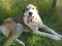 /album/fotogaleria/a10012134-446531082148716-8839304432076874799-o-jpg/