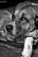 /album/fotogaleria/a10153862-729857260370193-1753782197117847301-n-jpg/