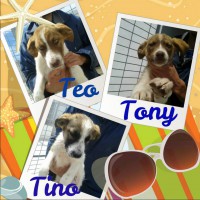 /album/fotogaleria/a10245395-302248363265991-7807025622968378450-n-jpg/