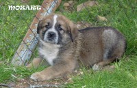 /album/fotogaleria/a10156060-1436598499921581-6120937305906194417-n-jpg/