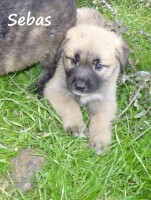 /album/fotogaleria/a10338640-10202384660881270-3646256873515732457-o-jpg/