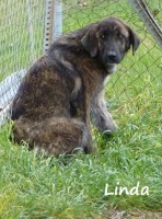 /album/fotogaleria/a10329979-10202384658641214-8309510342023182336-o-jpg/