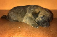 /album/fotogaleria/a1661473-10202287105322442-4172391471443095890-n-jpg/