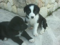 /album/fotogaleria/a10262175-700598756648874-102446421600546148-n-jpg/