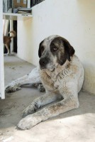 /album/fotogaleria/a10257760-10203783986750210-1416475086415602707-n-jpg/