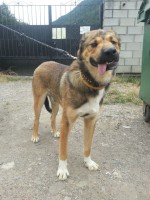 /album/fotogaleria/a1001897-488505367907174-1935020387-n-jpg1/