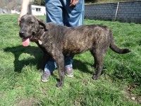 /album/fotogaleria/a10171271-610391552385221-8852911221120071738-n-jpg/