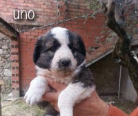 /album/fotogaleria/a1-jpg1/