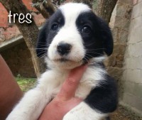 /album/fotogaleria/a3-jpg1/