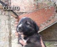 /album/fotogaleria/a4-jpg1/