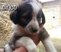 /album/fotogaleria/a5-jpg1/