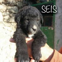 /album/fotogaleria/a6-jpg1/