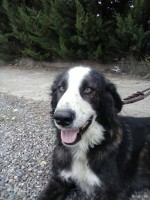 /album/fotogaleria/rey-jpg/