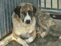 /album/fotogaleria/a10433897-10203825169882251-8389869278312154367-n-jpg/