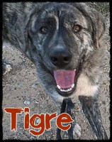 /album/fotogaleria/a10617376-10152618322973180-1171479646-n-jpg/