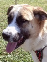 /album/fotogaleria/a10314452-10152707288101147-5061338321786811137-n-jpg/