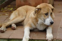 /album/fotogaleria/a10300089-730544320369943-605477572397676834-n-jpg/