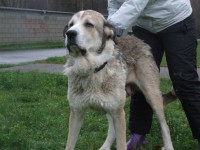 /album/fotogaleria/a10501875-735199886571053-8193206649143119164-n-jpg/