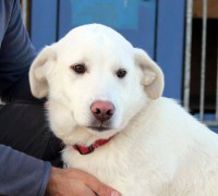 /album/fotogaleria/a12865-864643500224901-692269443496887592-n-jpg1/