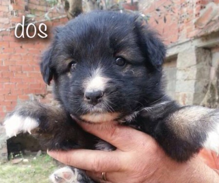 marisolamidea@gmail.com