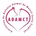 Asociación de Defensa Animal de Motril 