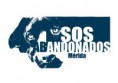 SOS ABANDONADOS MÉRIDA